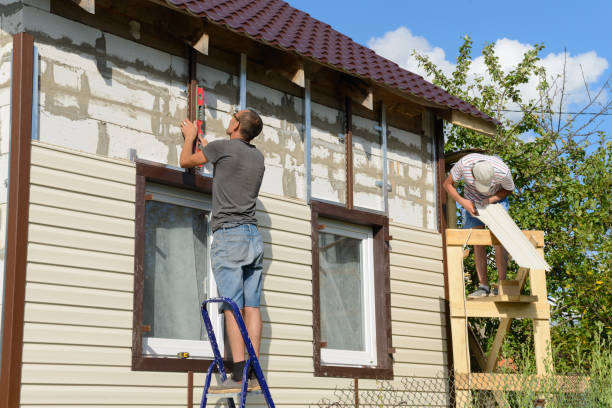 Best Custom Siding Design  in Baudette, MN